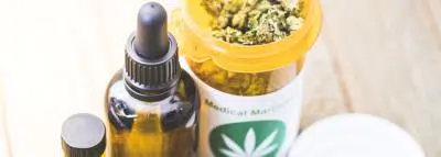 cannabis-therapeutique cannabis-therapeutique