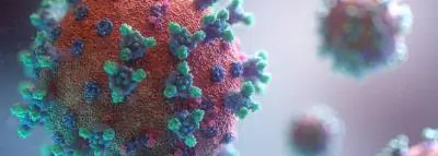 coronavirus-microscope-la-covid coronavirus-microscope-la-covid