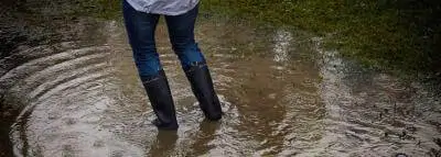 Assurance dégât des eaux assurance-degat-des-eaux