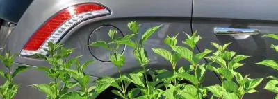 Les avantages de l'éco conduite au quotidien arriere-voiture-trappe-essence