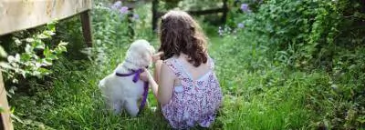 Assurance jardin : protégez votre espace enfant-chien-jardin