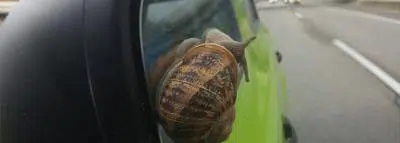 escargot-journee-lenteur