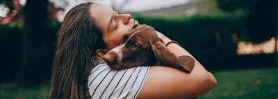 animaux chien veterinaire vaccin