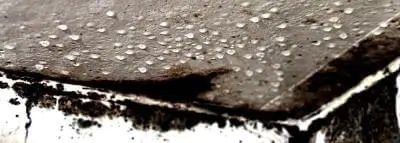 Convention cide-cop : comprendre son rôle Le dégât des eaux et les conventions Cide-Cop et Cidre