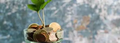 Les nouveaux PER cumulent un encours total de 13,4 milliards d’euros. jeunne-pousse-fleurs-pieces