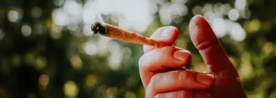 joint-cannabis joint-cannabis