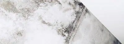 Moisissure : assurance habitation et protection fuite-maison-degat-des-eaux-moisissure-champignon