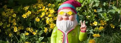 Assurance mur extérieur : ce qu'il faut savoir nain jardin