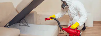 Quand les nuisibles poussent à changer d'assureur Dératisation nuisibles