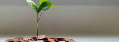 Où placer son argent pour un bon rendement ? argent investissement