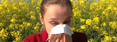 pollen-allergie-femme 20 % des Français sont allergiques