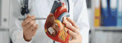 Remboursement cardiologue cardiologue coeur