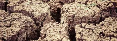 sécheresse-fissures-sol sécheresse-fissures-sol