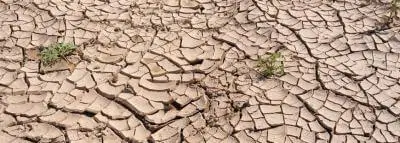 Assurance sécheresse : protégez votre maison sécheresse sol