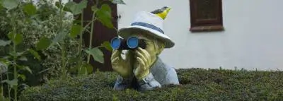 Alarme maison de vacances : sécurité assurée statue-jumelles-surveillance-maison