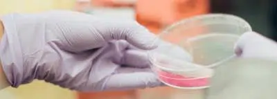 test-medical-virus test-medical-virus