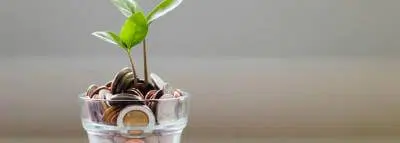 tirelire-plante tirelire-plante