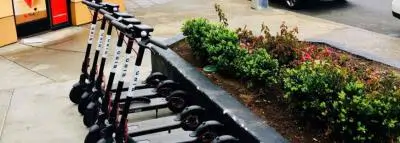 trottinette-bird trottinette-bird