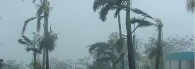 Assurance tempête : vitesse du vent et garanties tempête tropicale