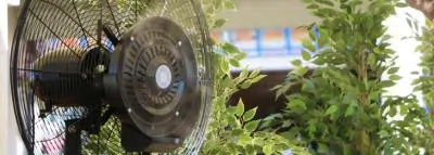 ventilateur-plantes-vertes ventilateur-plantes-vertes
